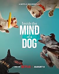 Inside the Mind of a Dog Hindi Dubbed English Movie Download 480p 720p 1080p FilmyMeet