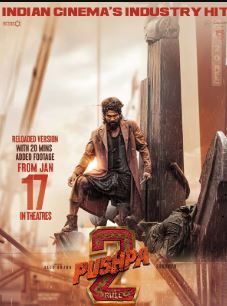 Pushpa 2 Reloaded 2025 Hindi Dubbed Movie Download 480p 720p 1080p FilmyMeet