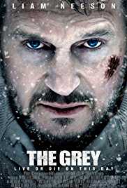 The Grey 2011 Hindi Dubbed 300MB 480p FilmyMeet