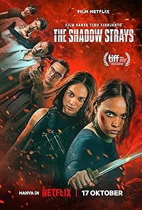 The Shadow Strays 2024 Hindi Dubbed English Movie Download 480p 720p 1080p FilmyMeet