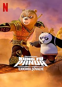 Kung Fu Panda The Dragon Knight 2022 Hindi Dubbed Web Series Download 480p 720p 1080p FilmyMeet